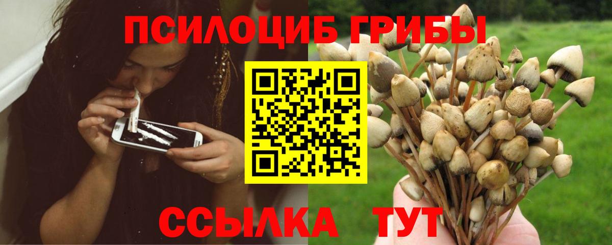 Элиста  Галлюциногенные грибы Magic Shrooms  Вход с VPN  Галлюциногенные грибы Psilocybe 